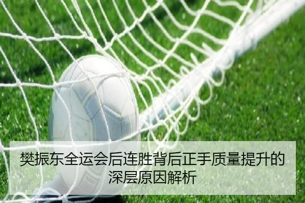 樊振东全运会后连胜背后正手质量提升的深层原因解析 - BandaoSports